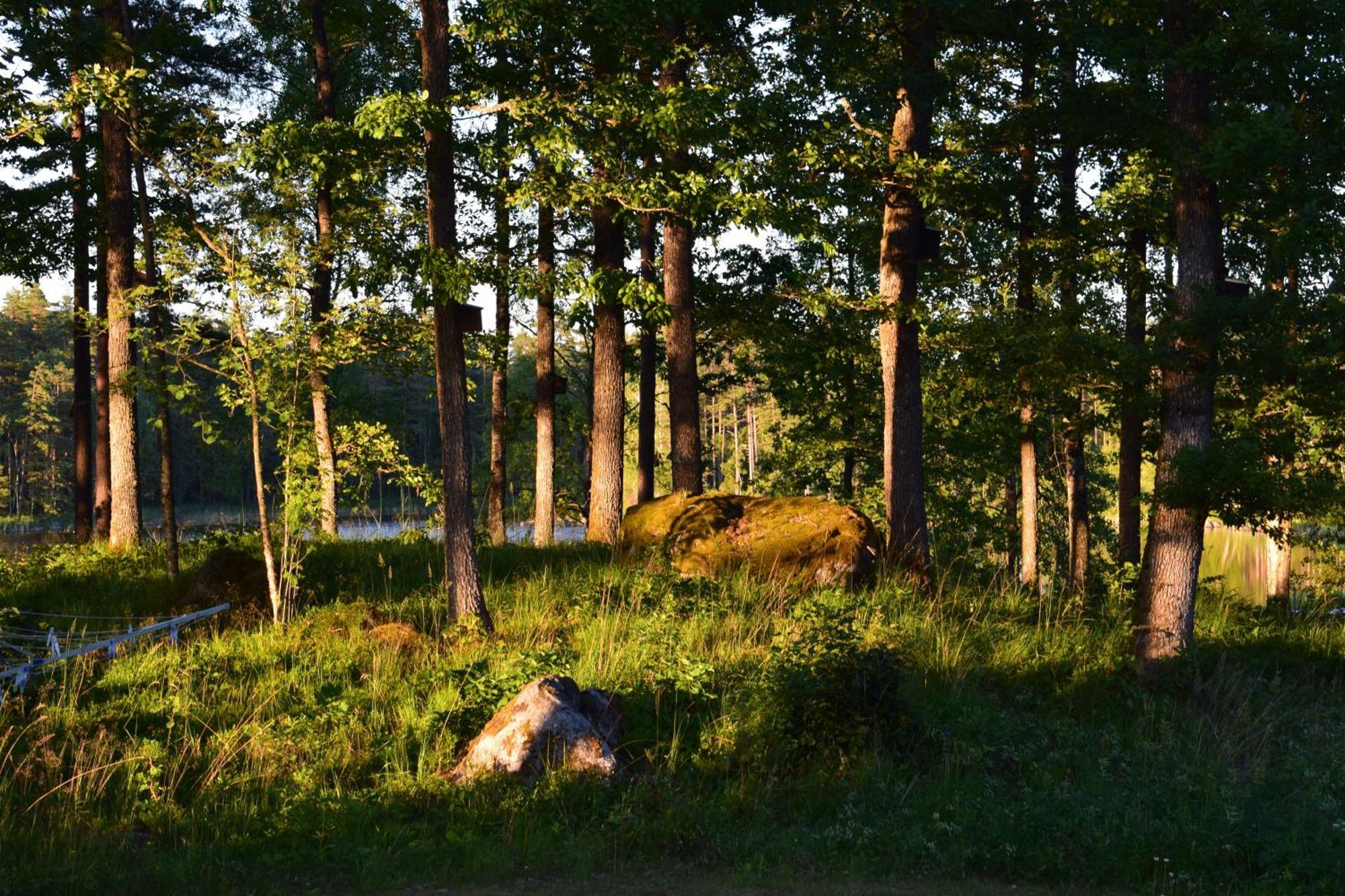 Aengsstugan Urshult Buitenkant foto