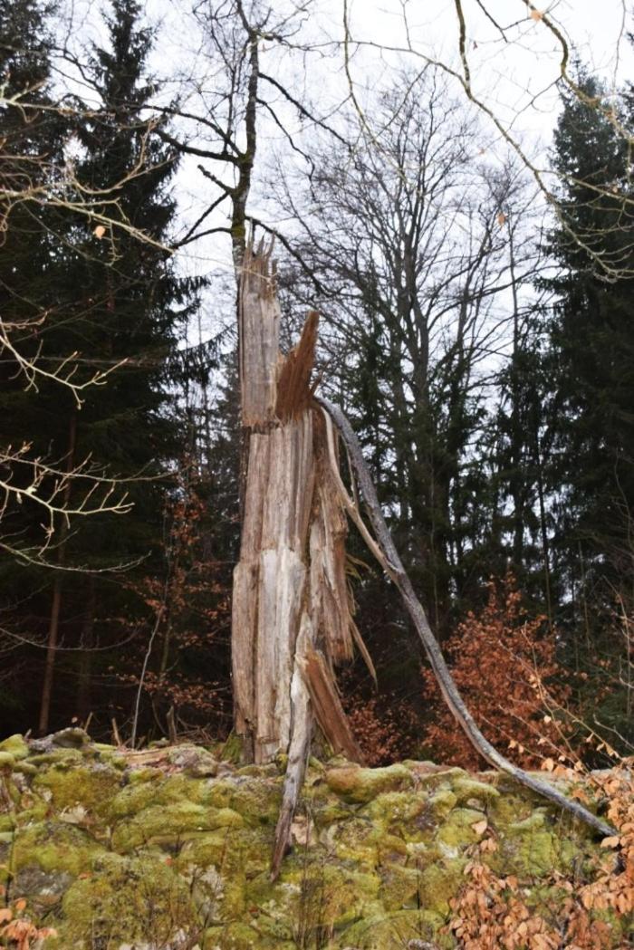Aengsstugan Urshult Buitenkant foto