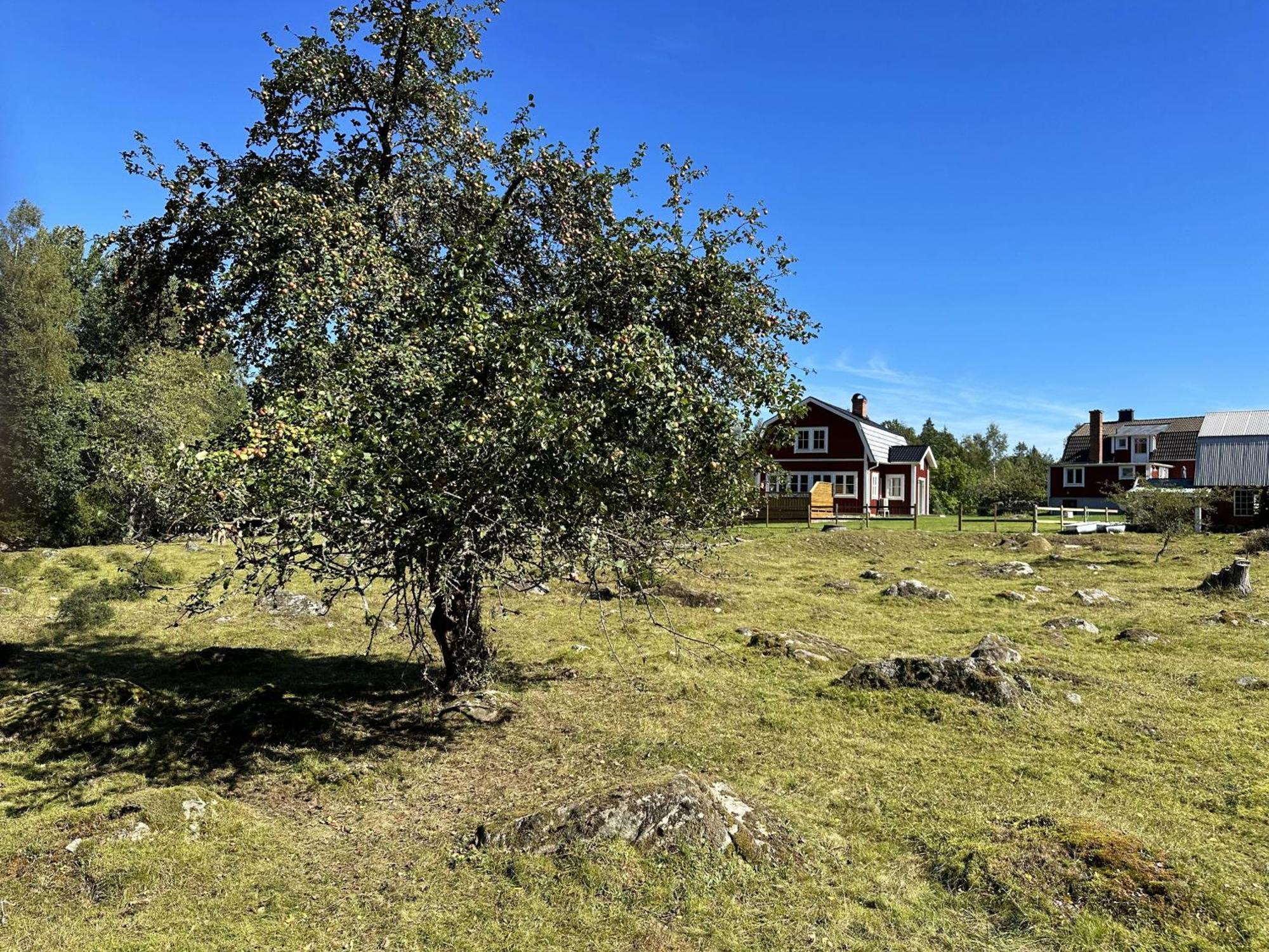 Aengsstugan Urshult Buitenkant foto
