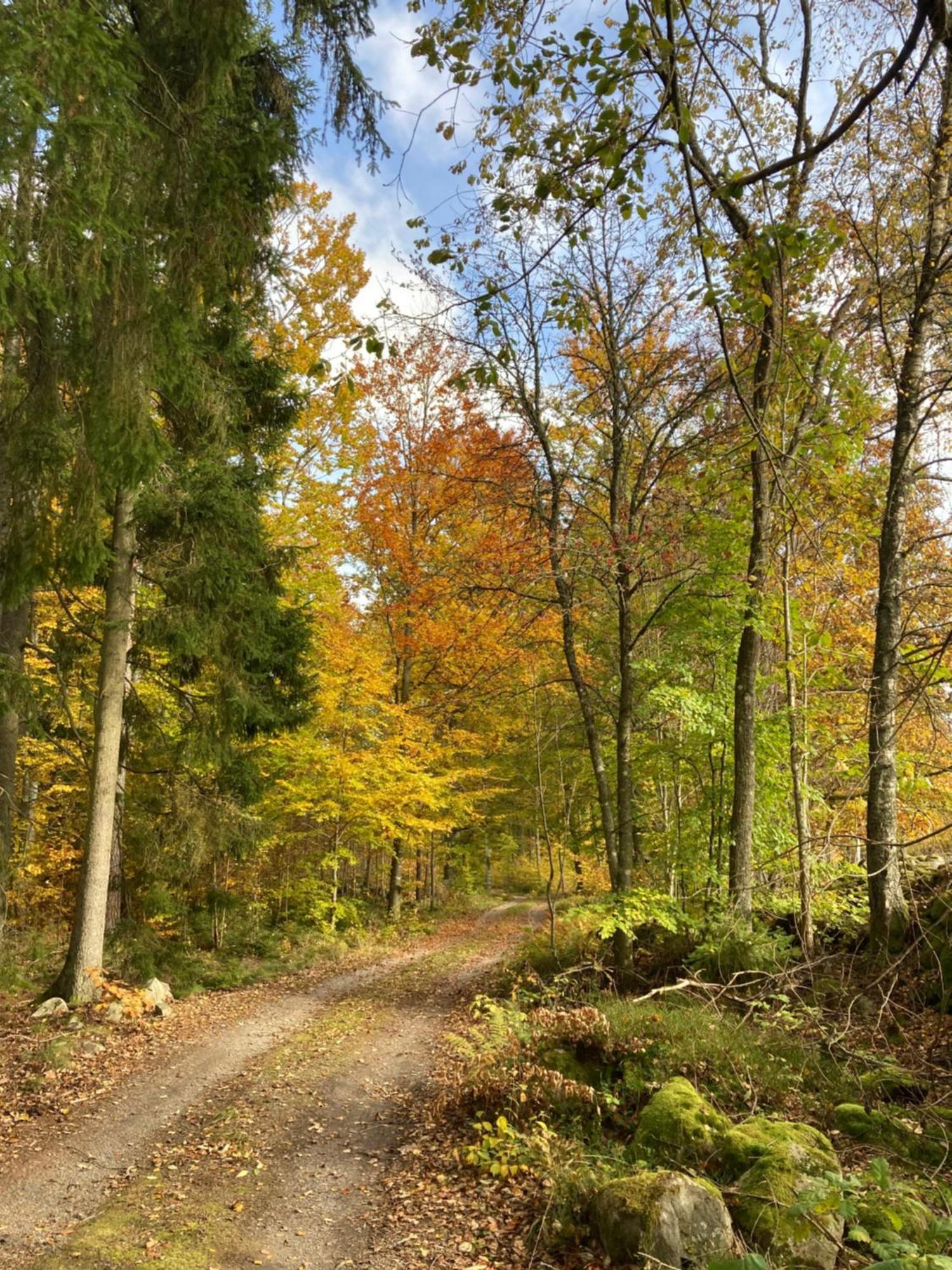 Aengsstugan Urshult Buitenkant foto