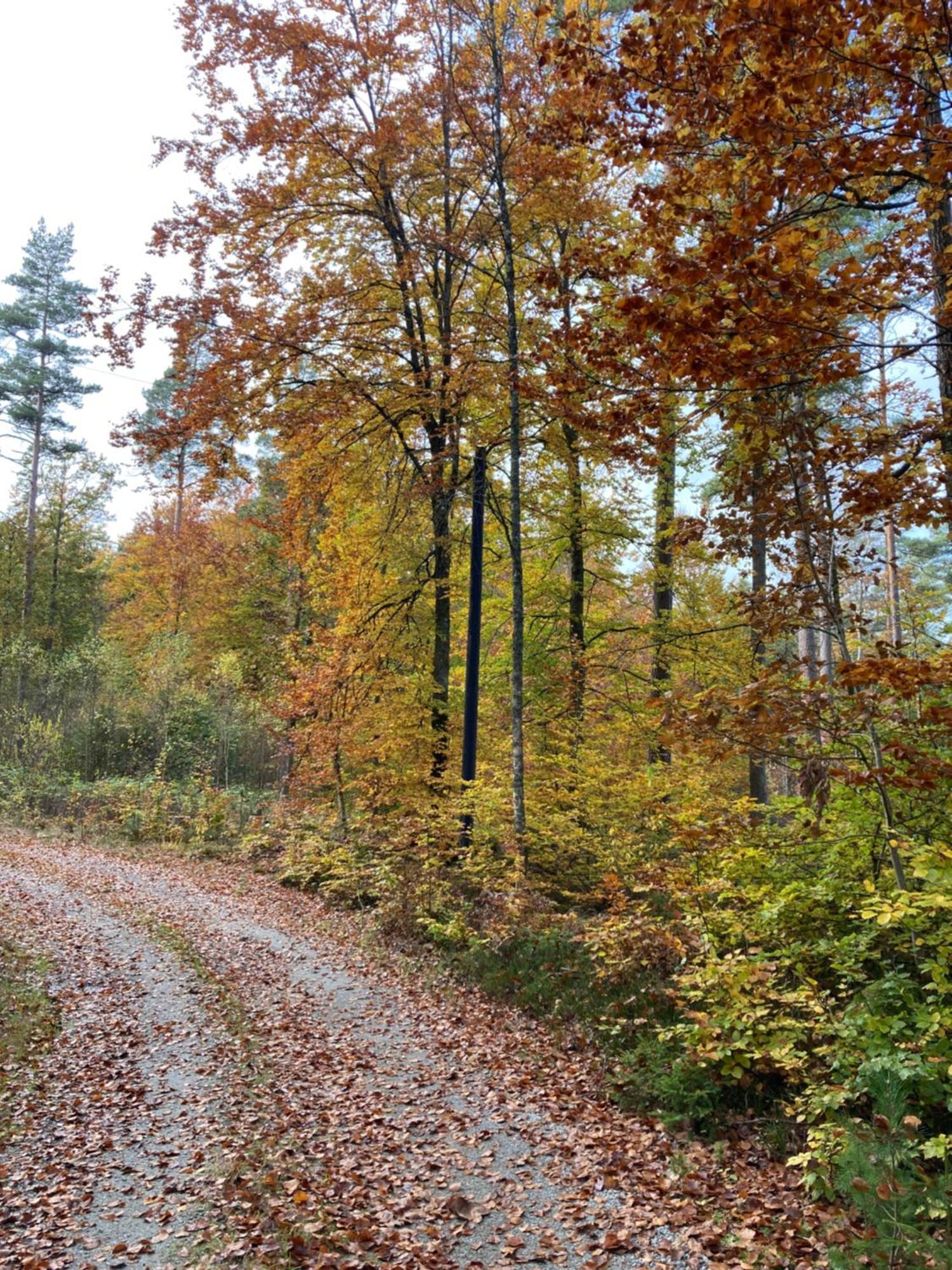 Aengsstugan Urshult Buitenkant foto